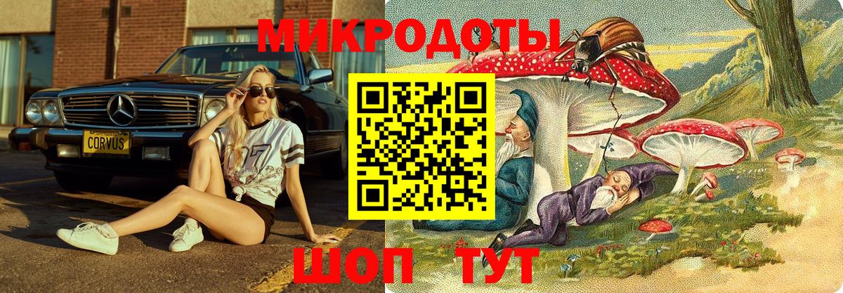 Галлюциногенные грибы Psilocybine cubensis Узловая