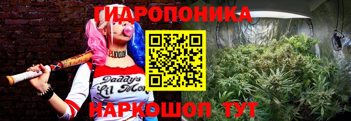 Бошки марихуана конопля Узловая
